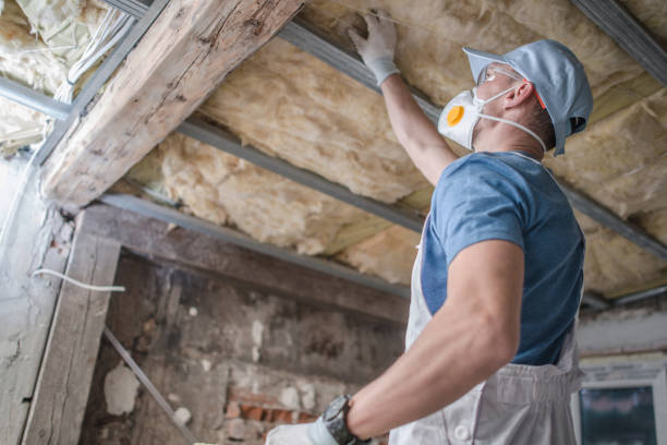 Best Eco-Friendly Insulation in Kilauea, HI